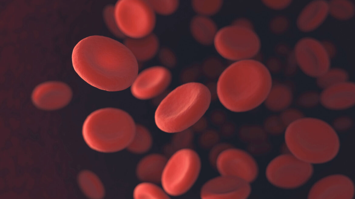 Blood Cancer – A New, Safer Treatment Emerges