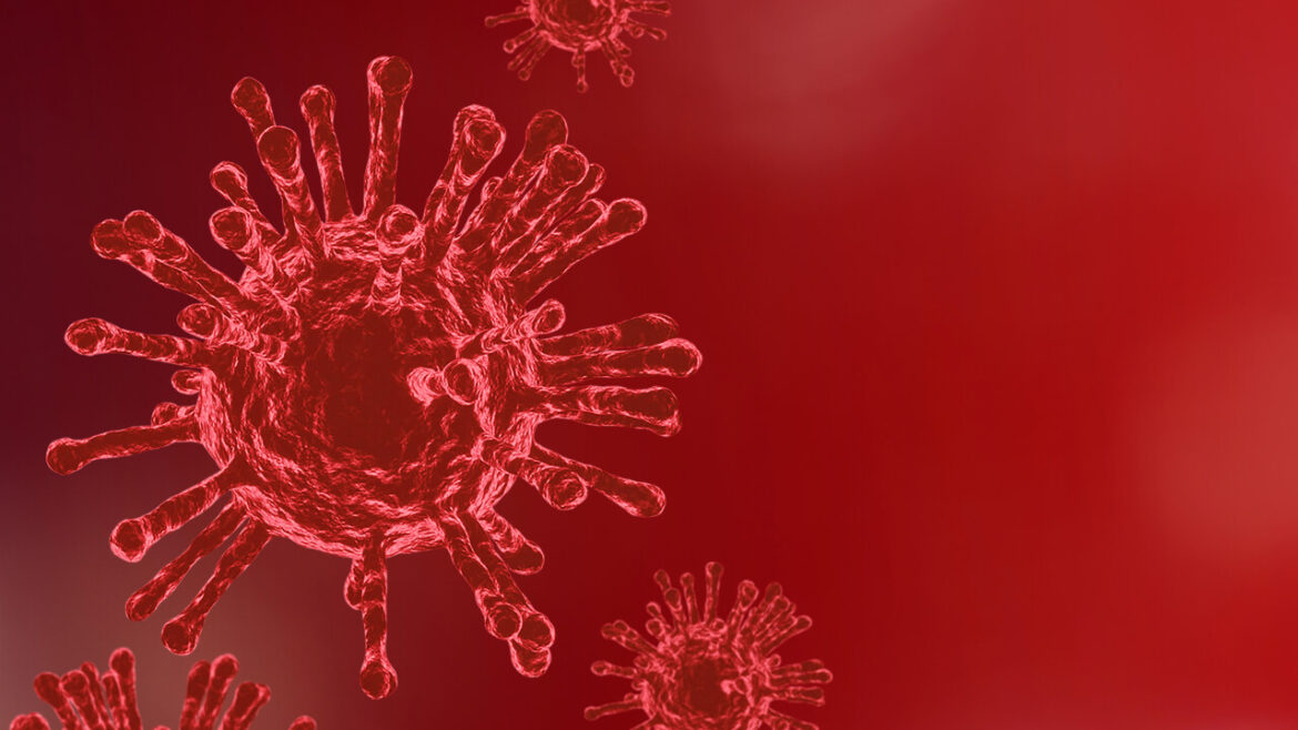 Microscope image of coronavirus